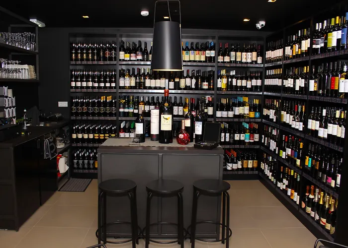 公寓式酒店 图里斯提克斯帕莱索酒店