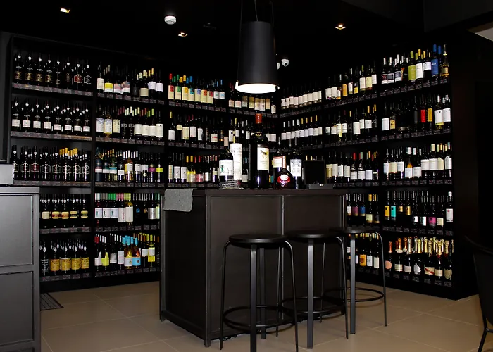 图里斯提克斯帕莱索酒店 公寓式酒店 3*