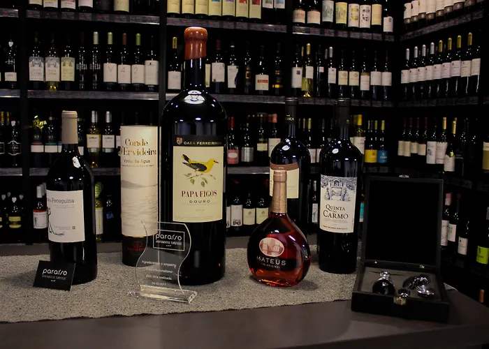 公寓式酒店 图里斯提克斯帕莱索酒店 丰沙尔